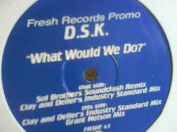 DSK - What Would We Do? | Fresh (FRSHT63)