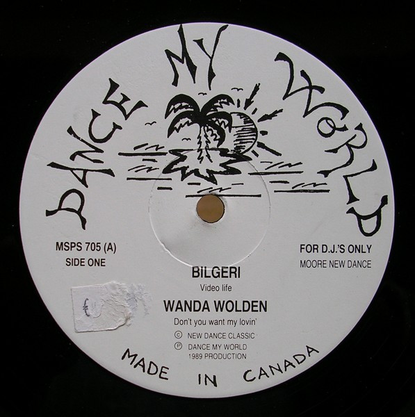Bilgeri / Wanda Wolden / Orient Express / Unique - Video Life / Don't You Want My Lovin / Shine On / What I Got Is What You Need | Dance My World (MSPS 705)
