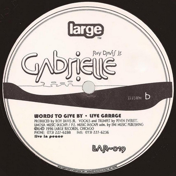 Roy Davis Jr. - Gabrielle | Large Records (LAR-019) - 2