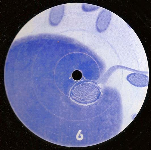 Various - Embryo Compilation | Embryo Records (EMB006) - 2