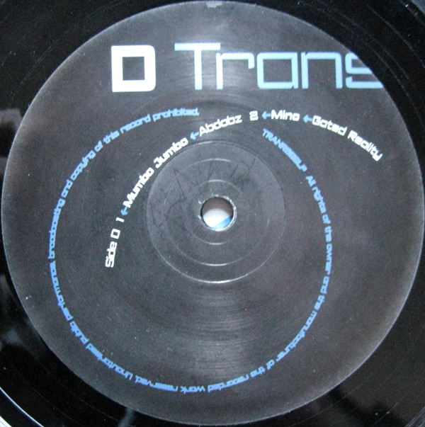 Various - Transient 8 (Back With The Future) | Transient Records (TRANR629LP) - 6