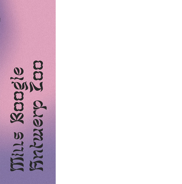 Mills Boogie - Antwerp Zoo | Cape St. Francis (CSF001)