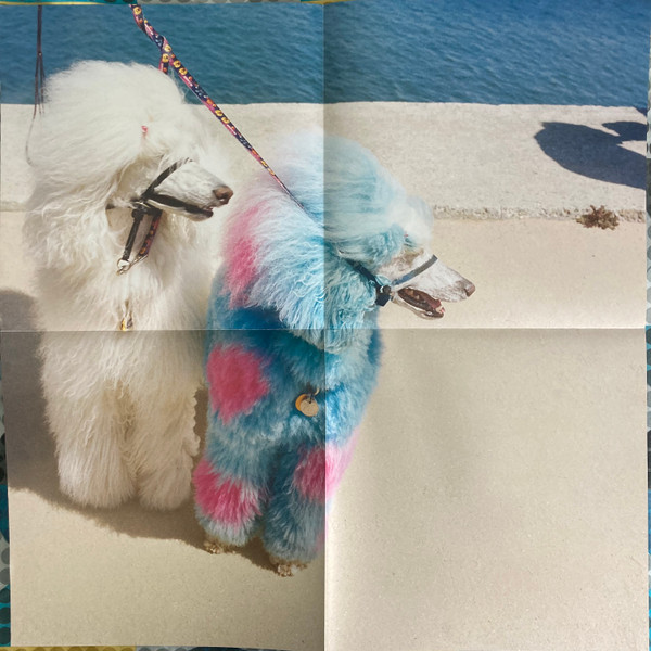 Exek - Advertise Here | Castle Face (CF-141) - 8 Exek - Advertise Here | Castle Face (CF-141) - 8