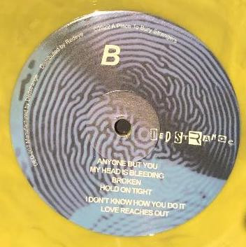 A Place To Bury Strangers - See Through You | DedStrange (DED-007LE) - 12