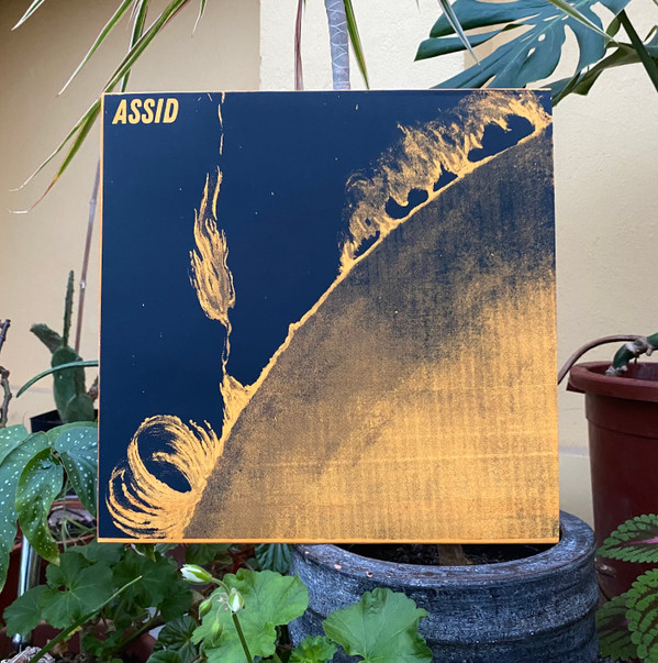 ASSID - Connaissance Des Lois Cosmiques | Notte Brigante (NB007)