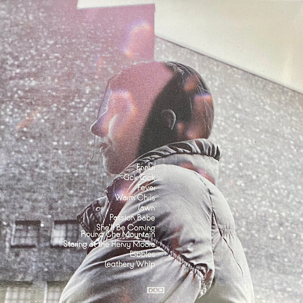 Aldous Harding - Warm Chris | 4AD (4AD0391LP) - 4 Aldous Harding - Warm Chris | 4AD (4AD0391LP) - 4