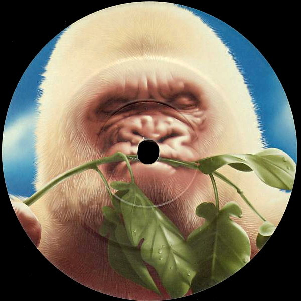 Basement Jaxx - Rooty | XL Recordings (XLLP143) - 7 Basement Jaxx - Rooty | XL Recordings (XLLP143) - 7