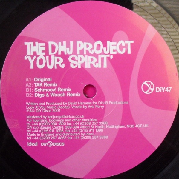David Harness - Your Spirit | DiY Discs (DiY47)