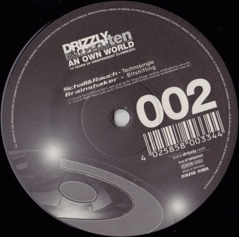 Various - Drizzly Ten, An Own World Vol. 002 | Drizzly (DRIZ5002) - 2