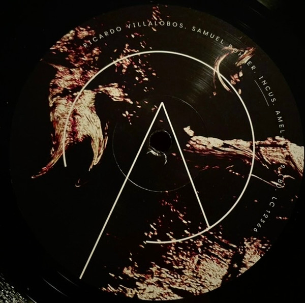Ricardo Villalobos , Samuel Rohrer - Microgestures | Arjunamusic (AMEL-LP722) - 3 Ricardo Villalobos , Samuel Rohrer - Microgestures | Arjunamusic (AMEL-LP722) - 3