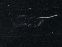 Snap! - The Power | Logic Records (612 938) - 6