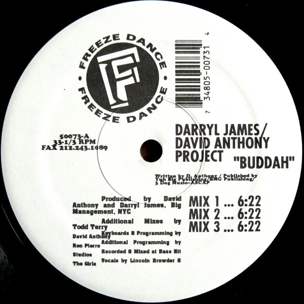 Darryl James & David Anthony - Buddah / It's Gettin' Bigger | Freeze Dance (50073)