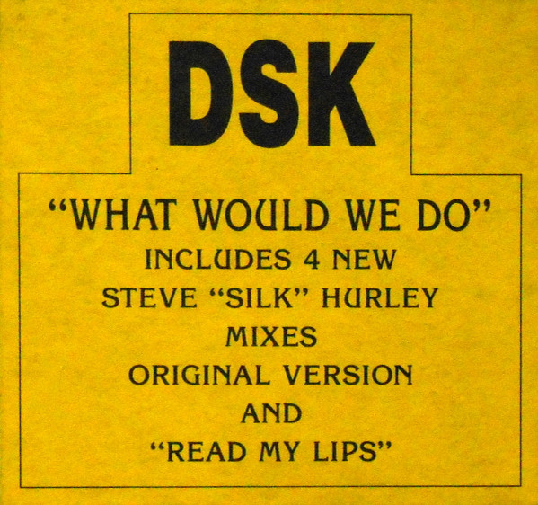 DSK - What Would We Do | New Music International (NMX 740) - 3