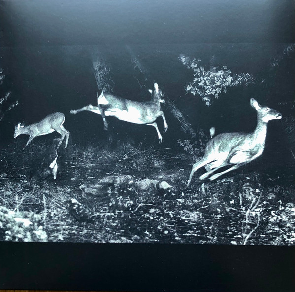 Wordcolour - The Trees Were Buzzing, And The Grass. | Houndstooth (HTH153) - main Wordcolour - The Trees Were Buzzing, And The Grass. | Houndstooth (HTH153) - main