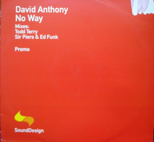David Anthony - No Way | Sound Design (SDESDJ10) - 3