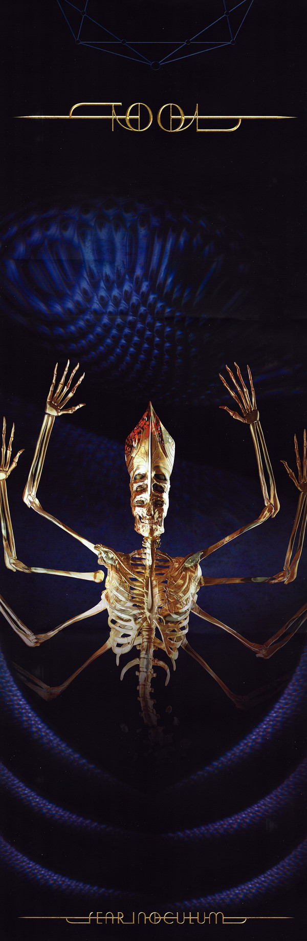 Tool - Fear Inoculum | Tool Dissectional (19439-95020-1S1) - 19