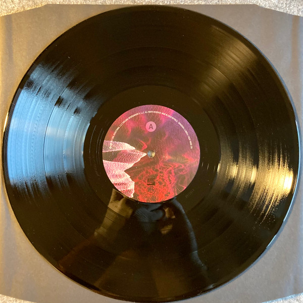 Tool - Fear Inoculum | Tool Dissectional (19439-95020-1S1) - 8