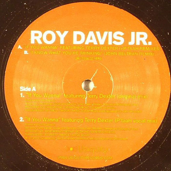 Roy Davis Jr. - If You Wanna / I Know What You're Thinking | Ubiquity (UR12146)
