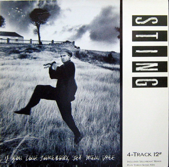 Sting - If You Love Somebody Set Them Free | A&M Records (392 018-1) - main Sting - If You Love Somebody Set Them Free | A&M Records (392 018-1) - main