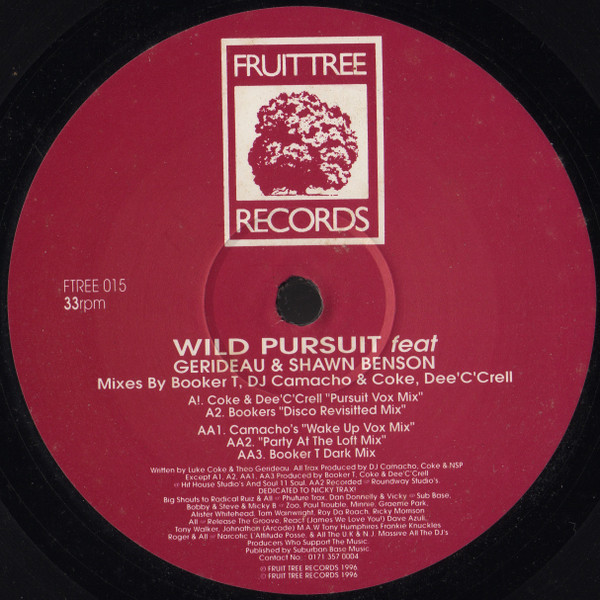 Wild Pursuit  &  Gerideau  &  Shawn Benson - So In Love | Fruittree Records (FTREE 015) - main