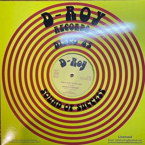 Roman Stewart / Revolutionaries - What You Wanna Do / Rockers Delight | D-Roy Records (none) - main