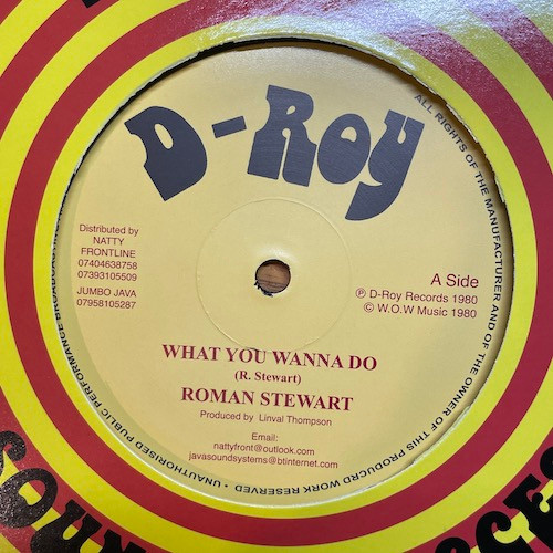 Roman Stewart / Revolutionaries - What You Wanna Do / Rockers Delight | D-Roy Records (none) - 2