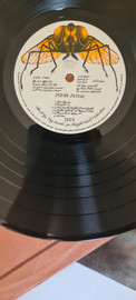 Bolan Boogie