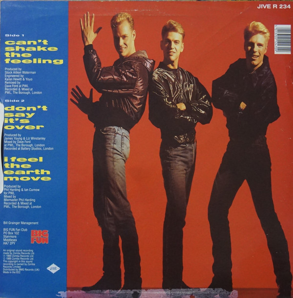Big Fun - Can't Shake The Feeling (Remix) | Jive (JIVE R 234) - 2