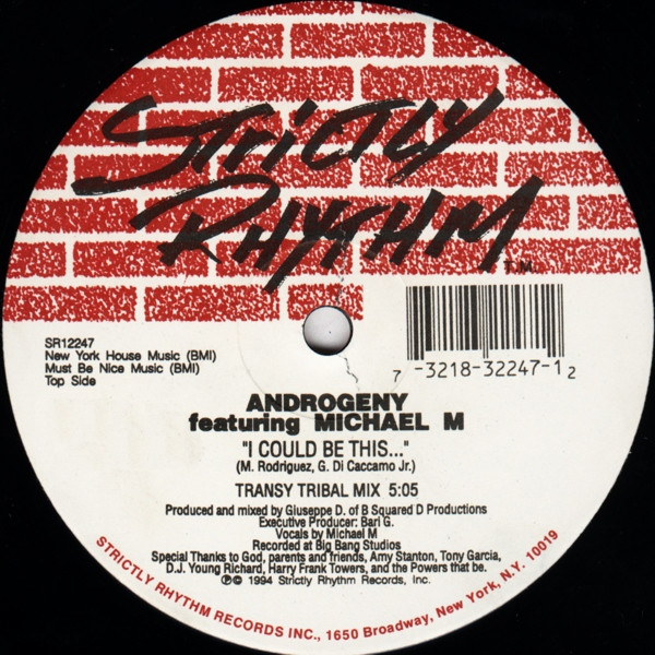 Androgeny Featuring Michael M - I Could Be This... | Strictly Rhythm (SR12247) - main Androgeny Featuring Michael M - I Could Be This... | Strictly Rhythm (SR12247) - main