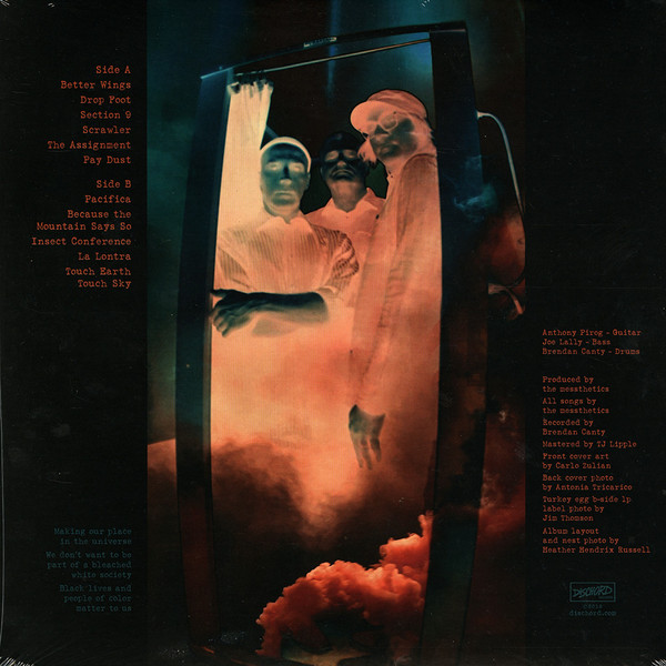 The Messthetics - Anthropocosmic Nest | Dischord Records (DIS189V) - 2 The Messthetics - Anthropocosmic Nest | Dischord Records (DIS189V) - 2