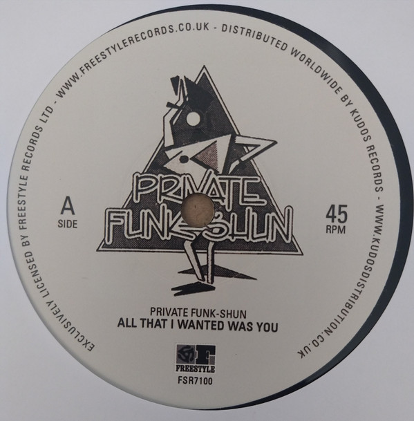 Private Funk-Shun - All That I Wanted Was You | Freestyle Records (FSR7100)