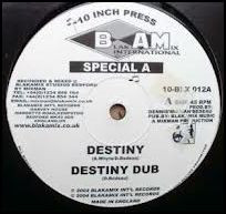 Special A.  &  Mixman - Destiny / Destination Africa | Blakamix (BLX012)