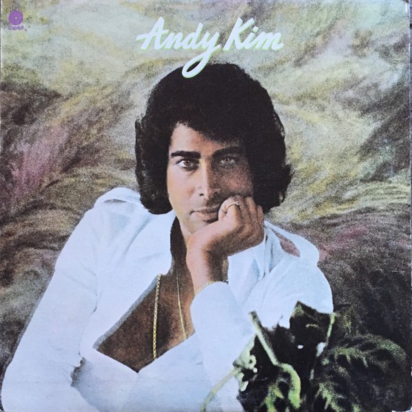 Andy Kim