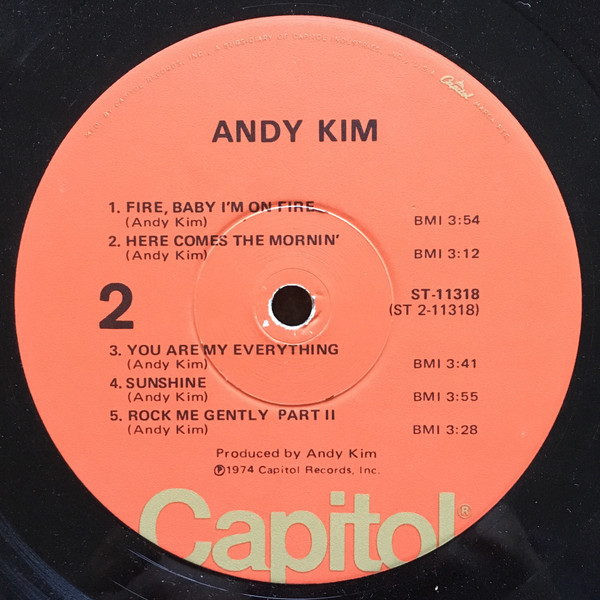 Andy Kim