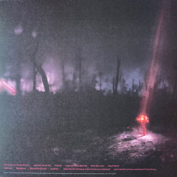 Enter Shikari - A Kiss For The Whole World | So Recordings (SOAKLP356) - 2 Enter Shikari - A Kiss For The Whole World | So Recordings (SOAKLP356) - 2