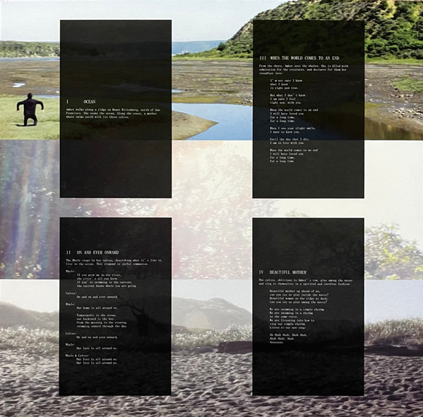 Dirty Projectors  &  Björk - Mount Wittenberg Orca | Domino (RUG418TXX) - 7