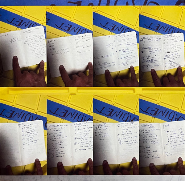 Dirty Projectors  &  Björk - Mount Wittenberg Orca | Domino (RUG418TXX) - 10