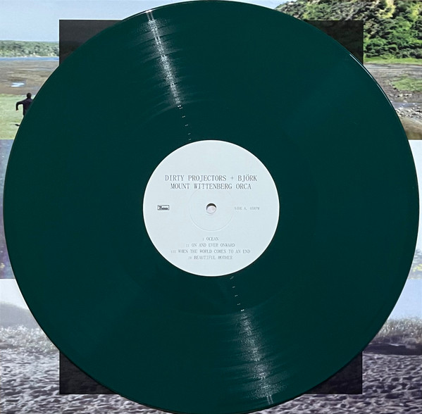 Dirty Projectors  &  Björk - Mount Wittenberg Orca | Domino (RUG418TXX) - 11