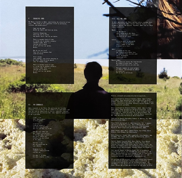 Dirty Projectors  &  Björk - Mount Wittenberg Orca | Domino (RUG418TXX) - 8