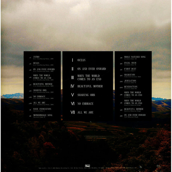 Dirty Projectors  &  Björk - Mount Wittenberg Orca | Domino (RUG418TXX) - 2