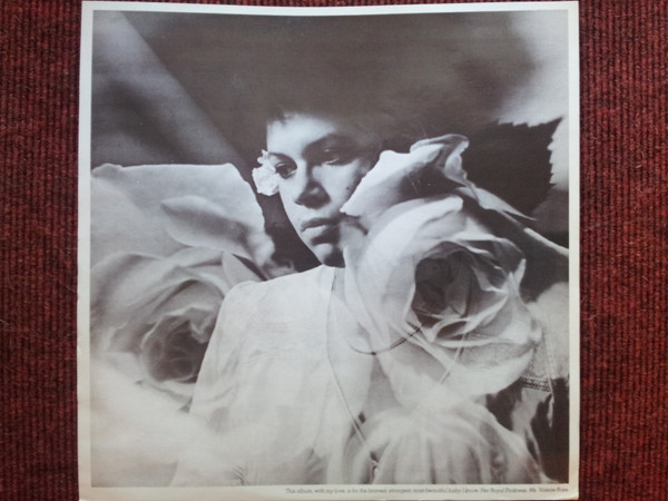 Phoebe Snow - Never Letting Go | CBS (S CBS 82224) - 5