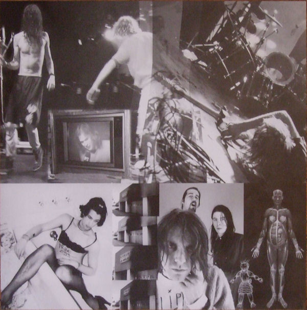 In Utero