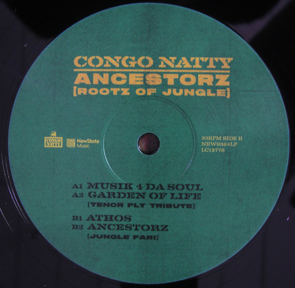 Ancestorz (Rootz Of Jungle)