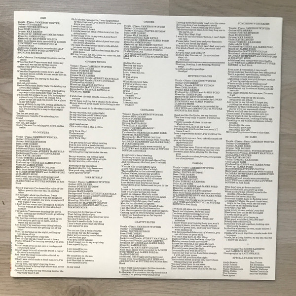 Geese - 3D Country | Partisan Records (PTPS10LP) - 6