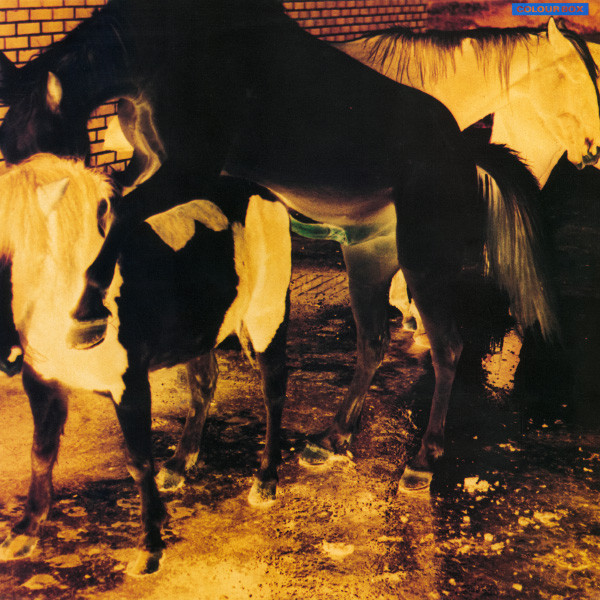 Colourbox - Colour Box | 4AD (MAD 315) - main