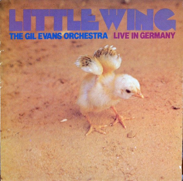 Little Wing (Live In Germany)