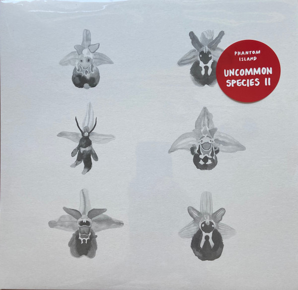 Various - Uncommon Species II | Phantom Island (PHI-23) - main Various - Uncommon Species II | Phantom Island (PHI-23) - main