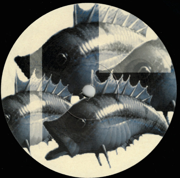 Acid Scout - Balance | Disko B (db 22) - 2