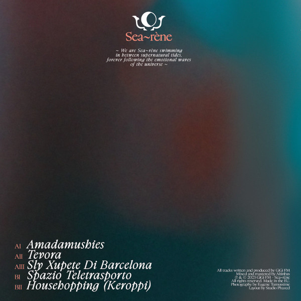 GiGi FM - Kiwi Synthesis Diary Vol. 2 | Sea~rène (SRN001) - 2 GiGi FM - Kiwi Synthesis Diary Vol. 2 | Sea~rène (SRN001) - 2