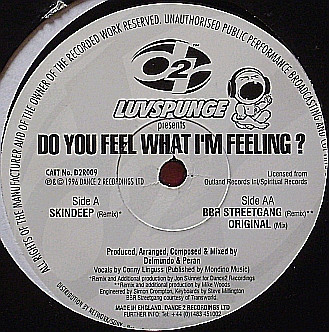 Do You Feel What I'm Feeling?